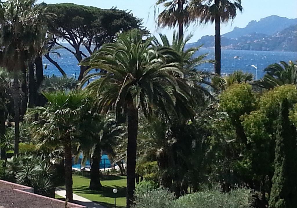 Sea Side Apartment Cannes Dış mekan fotoğraf